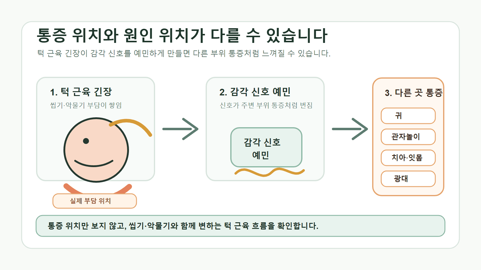 턱관절과 저작근의 통증이 광대와 치아, 귀 주변, 목과 머리로 느껴질 수 있는 연관통 설명 그림