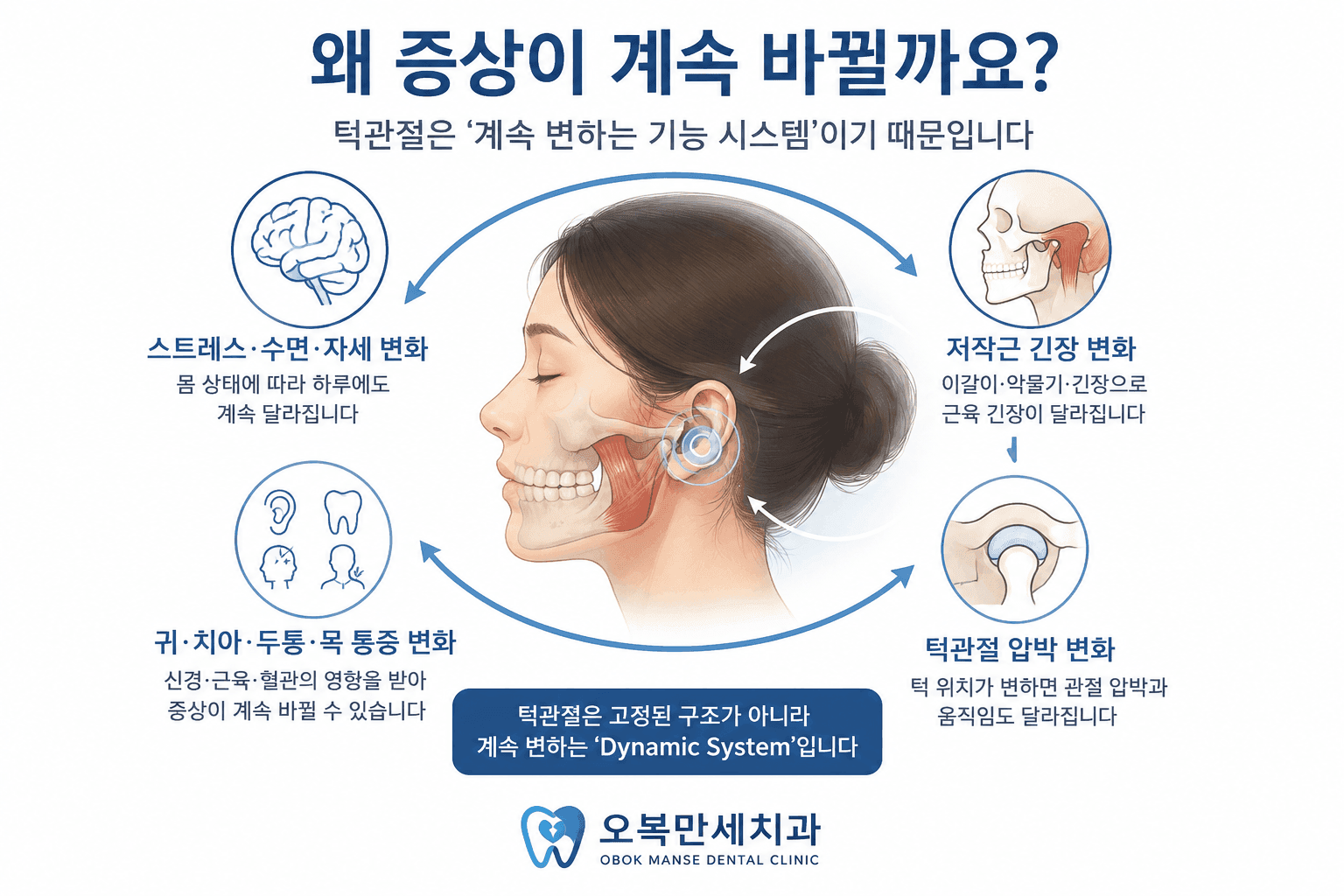 턱관절과 저작근 및 신경계가 계속 변화하는 기능 시스템임을 설명한 오복만세치과 교육 그림