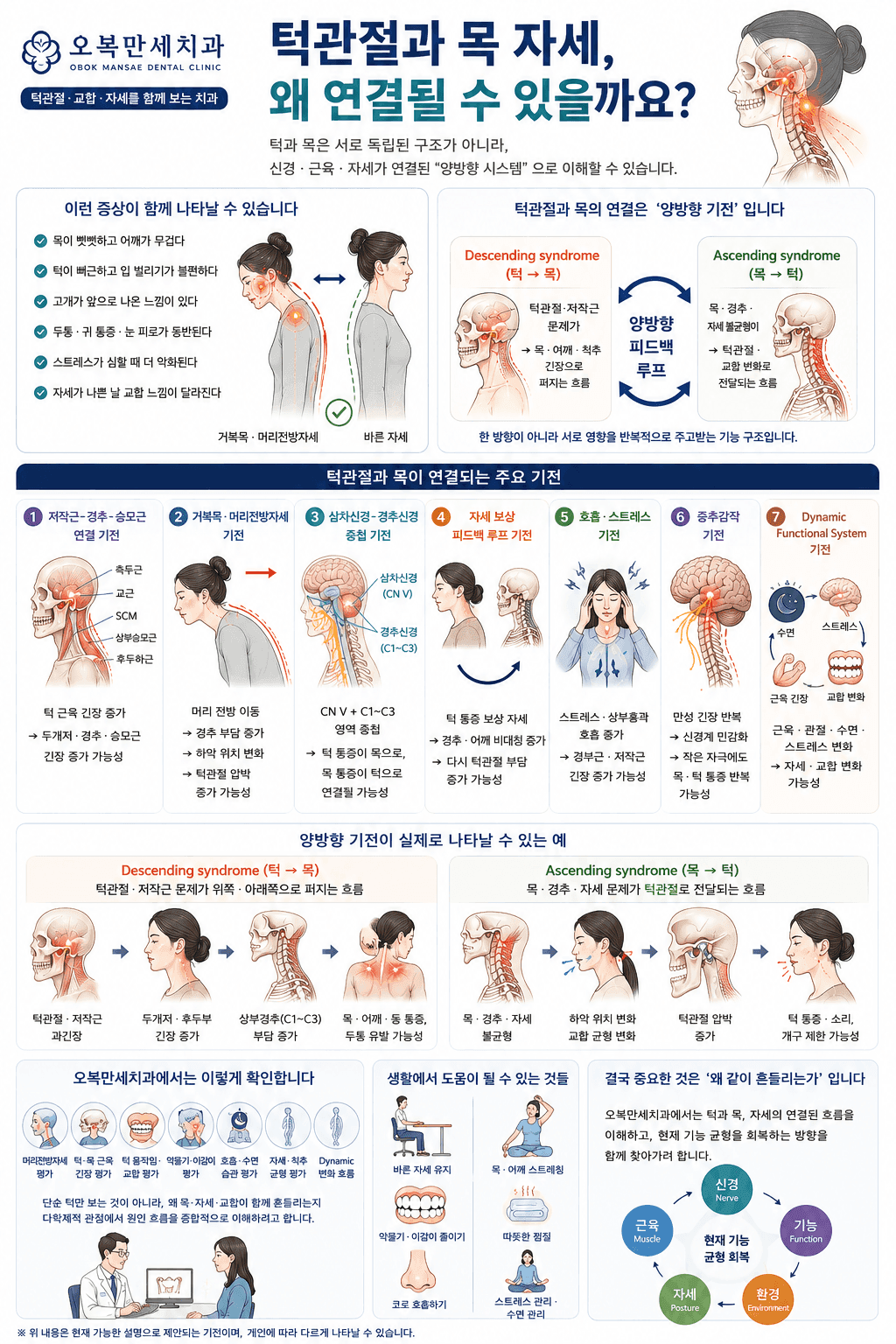 턱관절과 목 자세가 상행성 및 하행성 보상을 통해 서로 영향을 줄 가능성을 설명한 그림