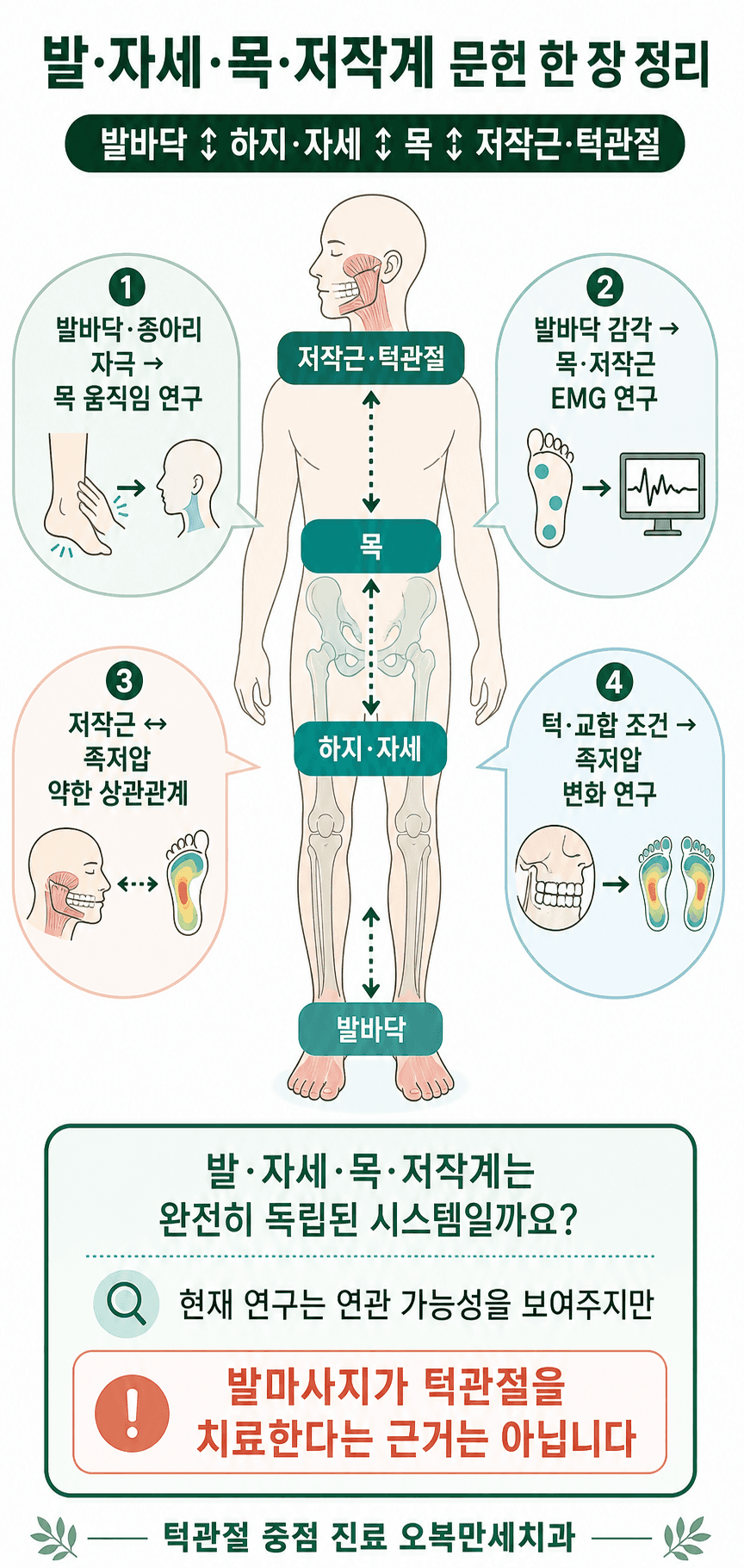 발바닥과 하지, 전신 자세, 목, 저작근과 턱관절 사이의 연구 결과와 한계를 정리한 인포그래픽