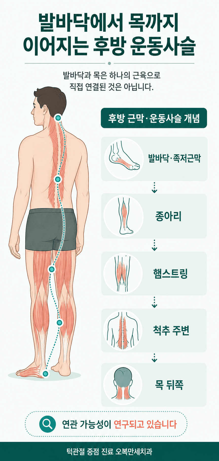 발바닥부터 종아리, 햄스트링, 척추 주변과 목 뒤쪽으로 이어지는 후방 근막 운동사슬 개념 그림