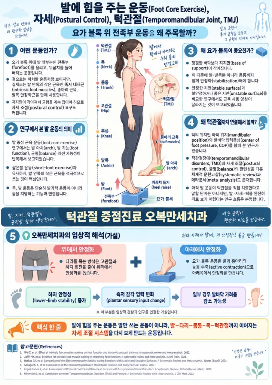 요가 블록 위 전족부 운동에서 발 코어·하지·몸통·목과 턱관절의 자세 조절 연결 가능성을 설명하는 의료 인포그래픽